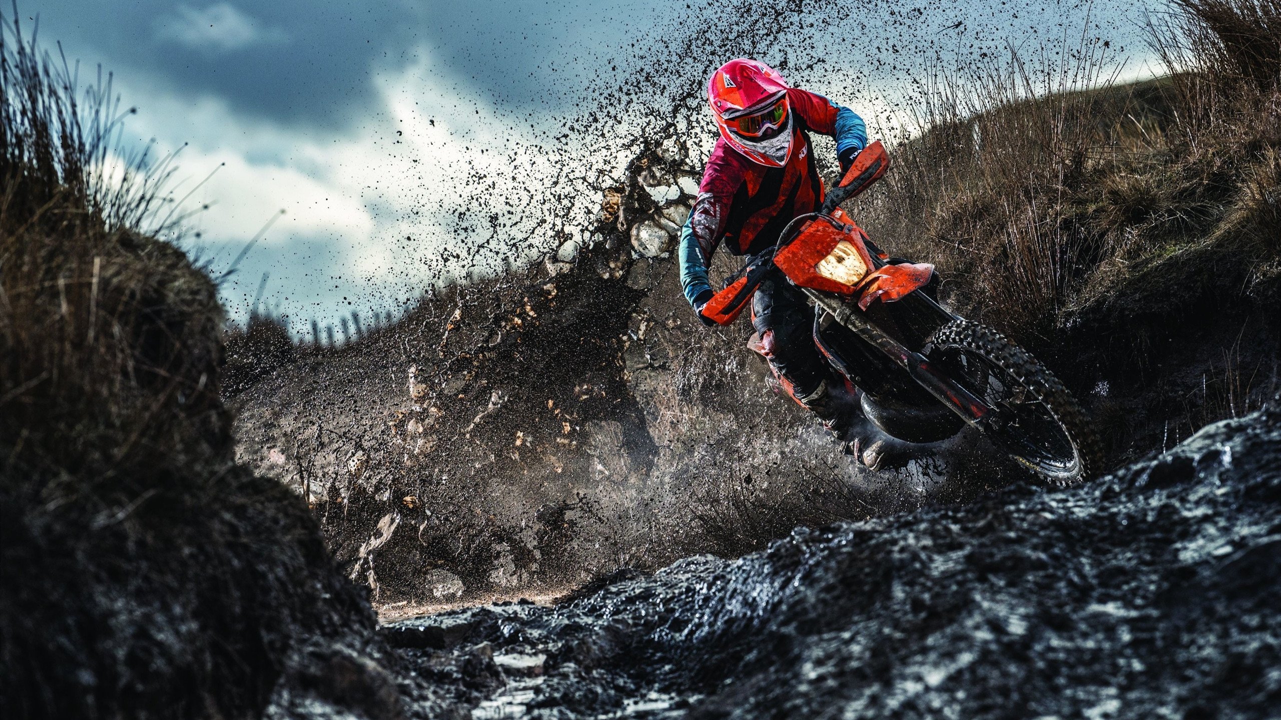 埃及乒乓队未来：通过创新训练模式提升球员竞技水平，埃及乒乓球厉害吗